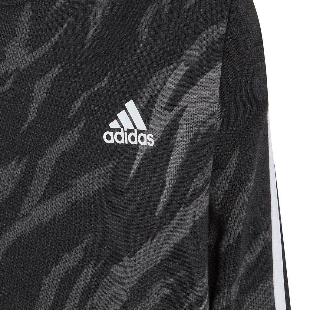 Future Icons 3-Stripes Graphic Hooded sweater