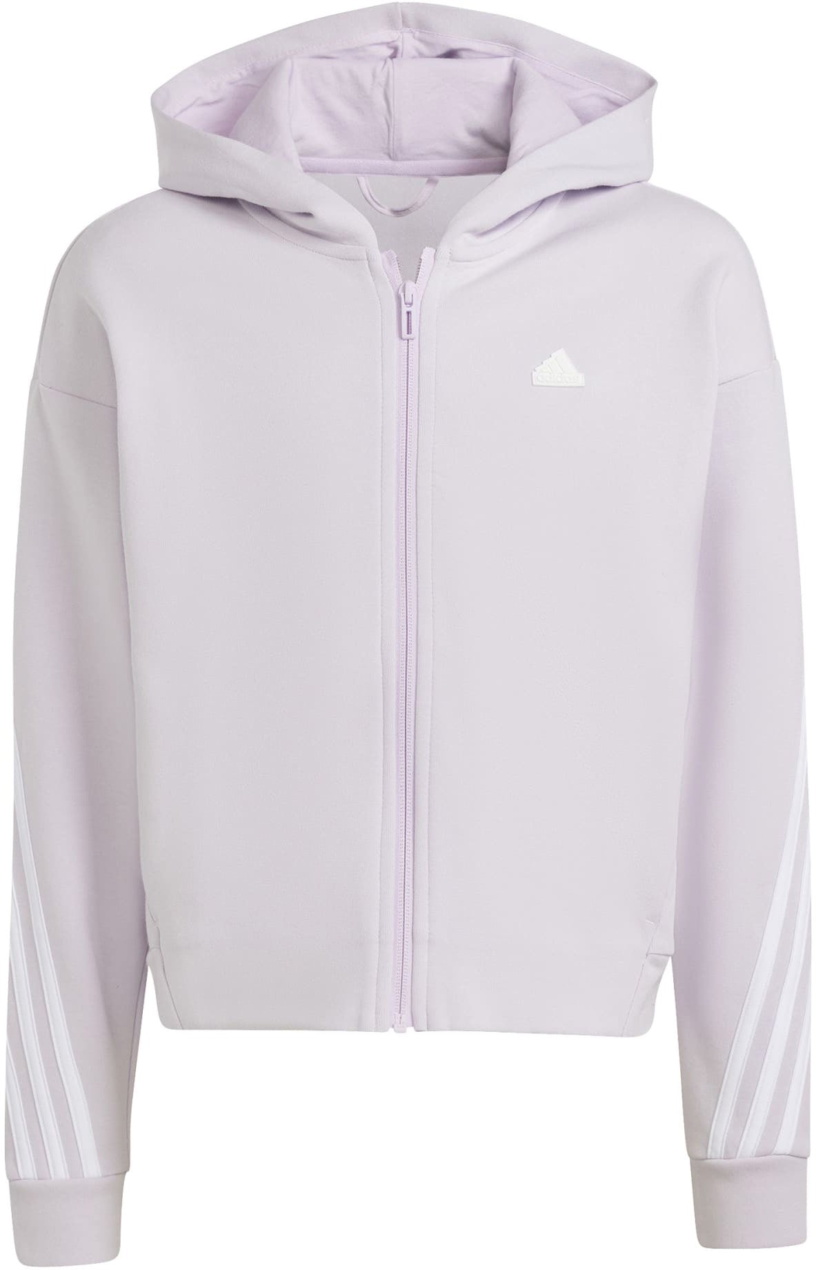 Future Icons 3-Stripes ritshoodie