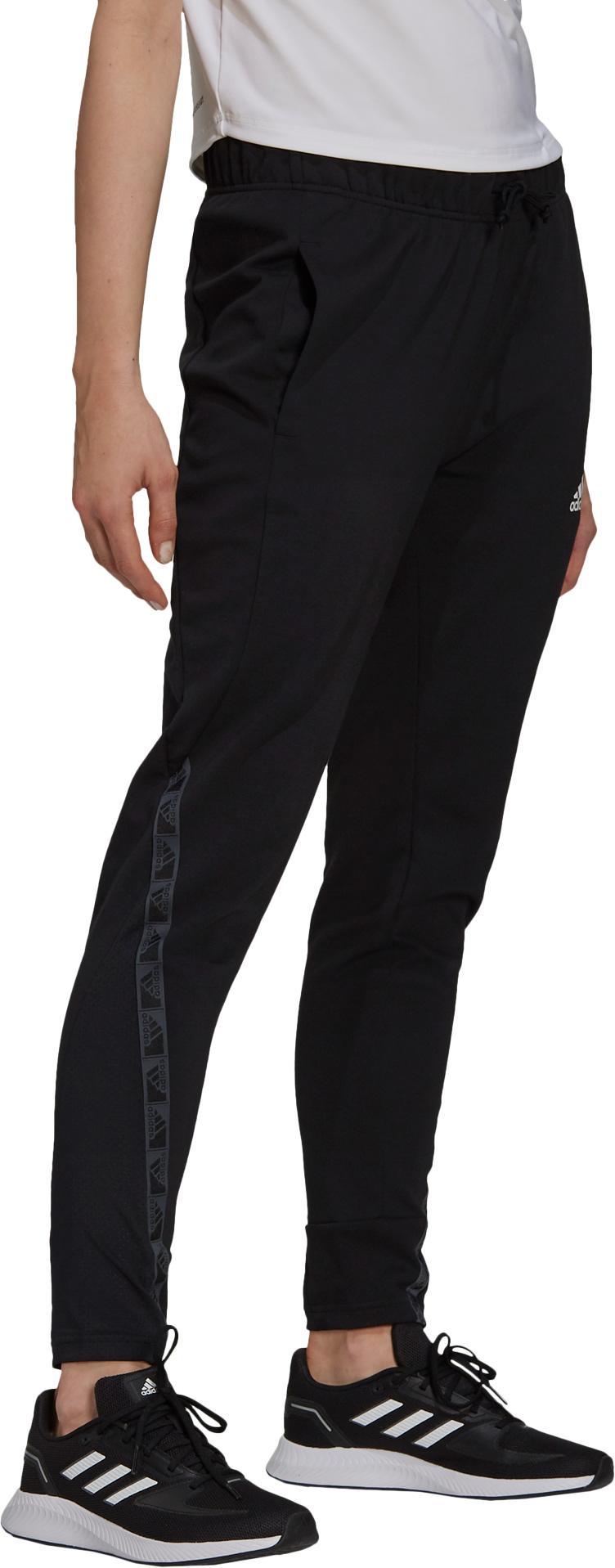 T PT. Pant