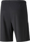 TEAMLIGA TRAINING SHORTS 2 (OP, PUMA BLACK-OCEA, XL