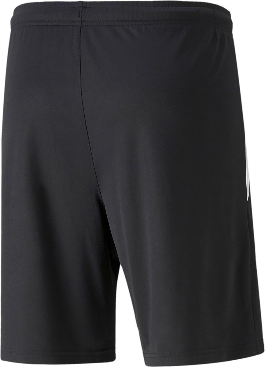 TEAMLIGA TRAINING SHORTS 2 (OP, PUMA BLACK-OCEA, XL