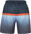 Erwin Beachshort