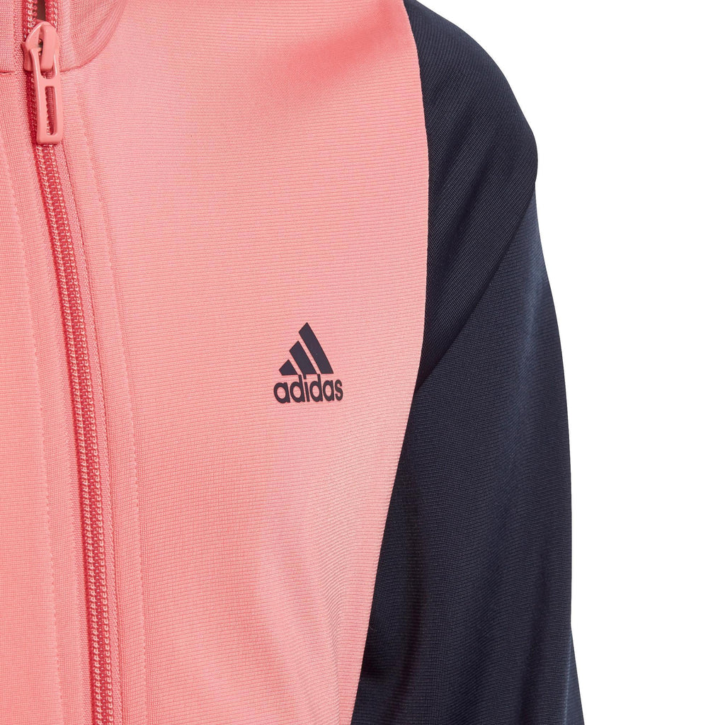 Essentials Trainingspak