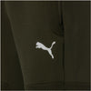evostripe shorts 8