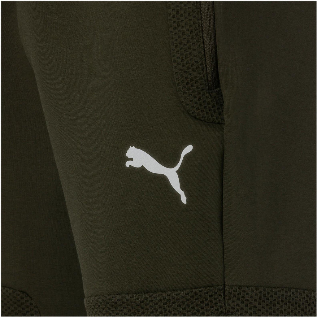 evostripe shorts 8
