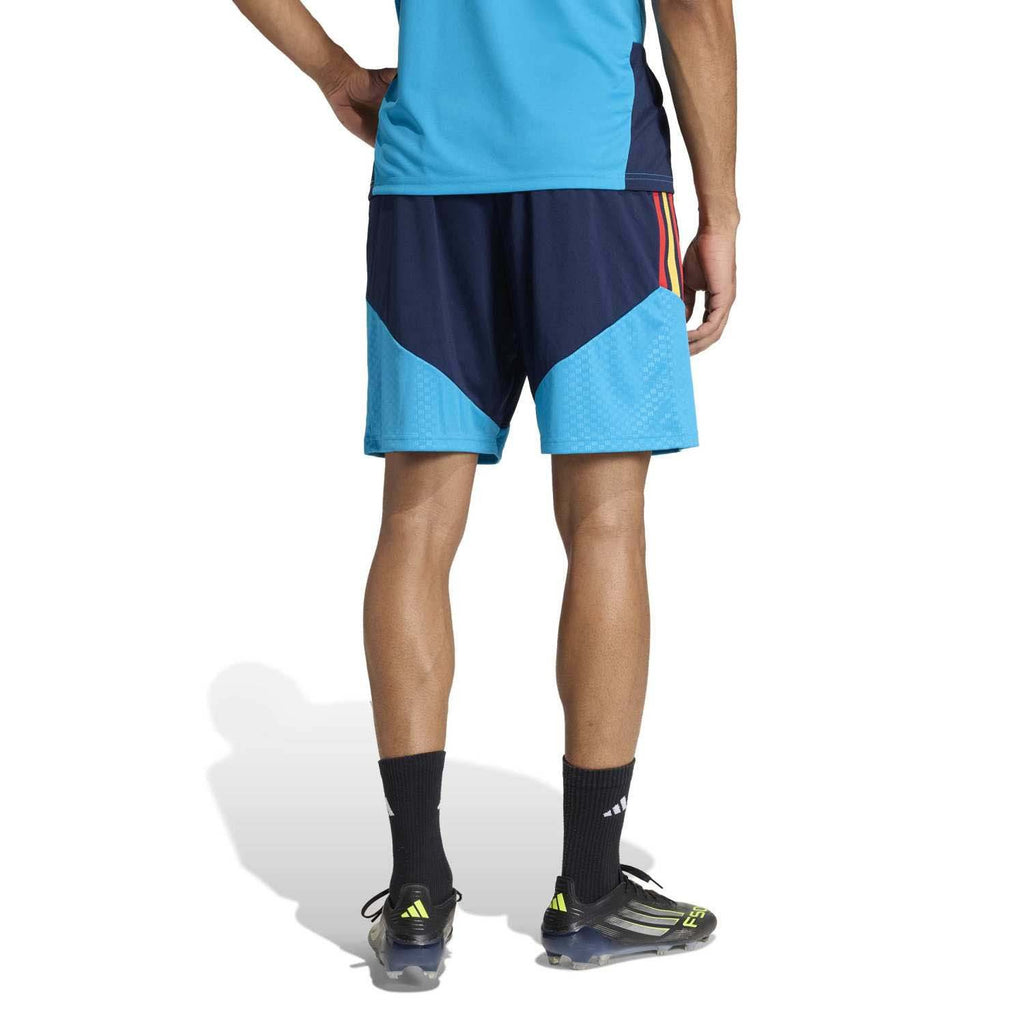 Spanje Training Shorts