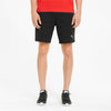 Evostripe Shorts