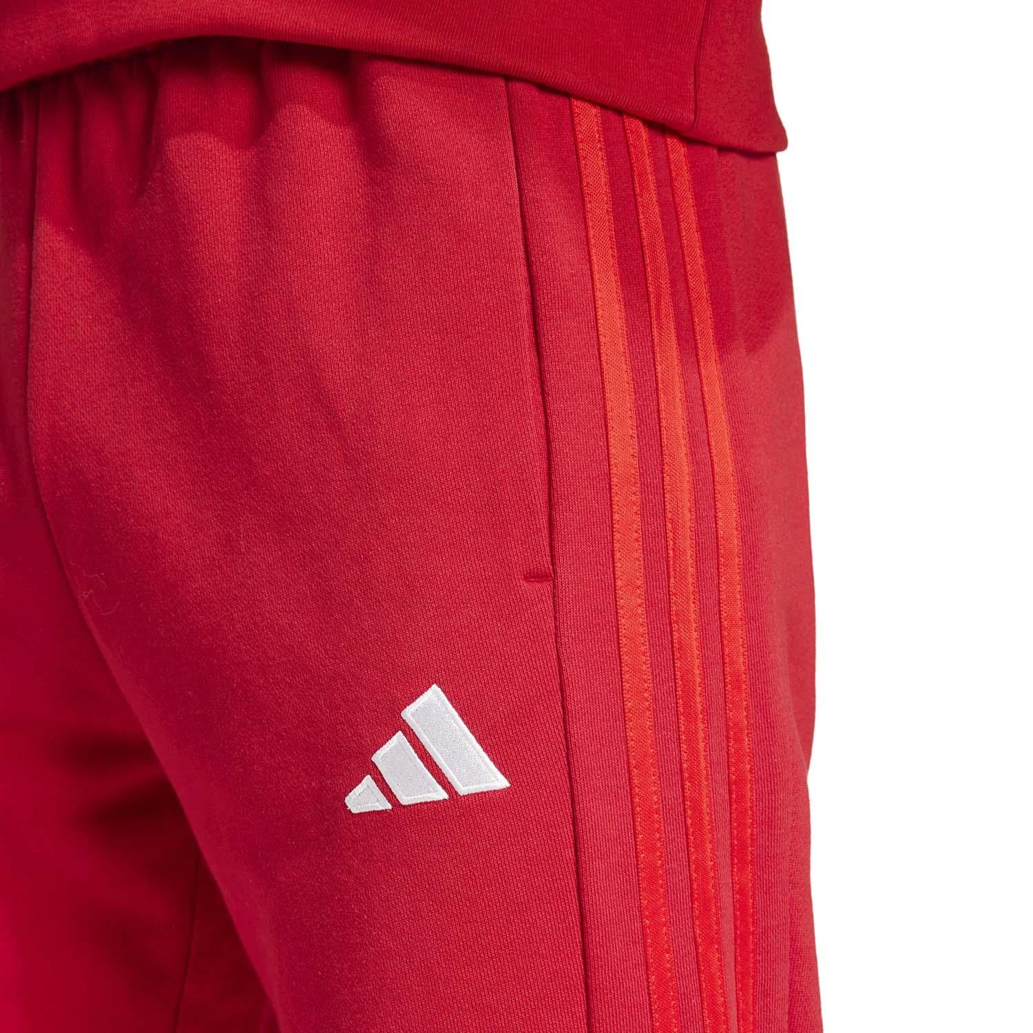 FC Bayern München DNA Broek