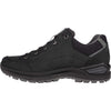 Renegade Evo GTX Low wandelschoenen