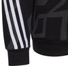 B FI 3S GRA HD. Kapuzensweater