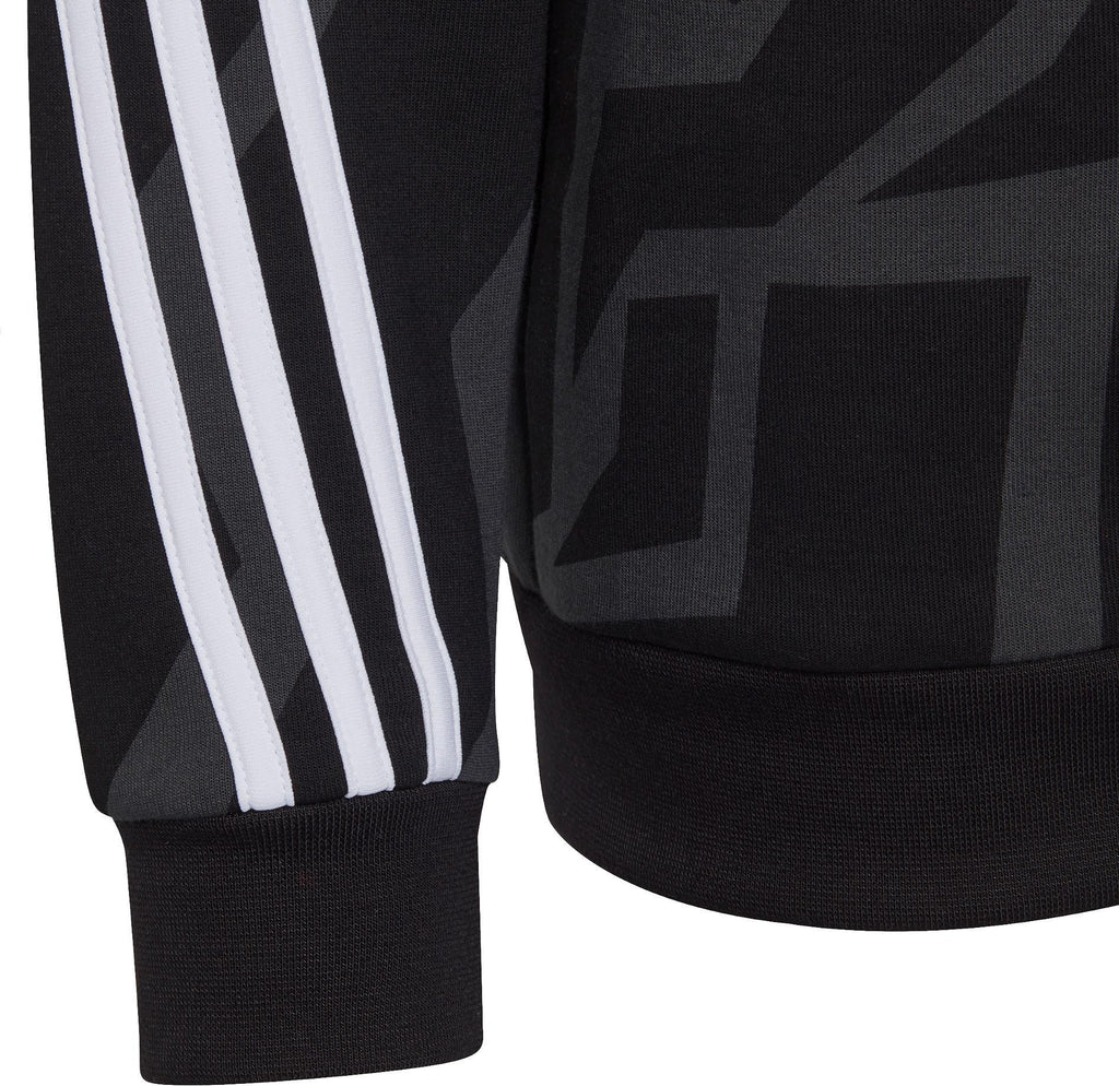 B FI 3S GRA HD. Kapuzensweater