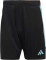 Tiro 23 Club trainingsshort