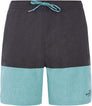Prtfreddie Beachshort