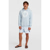 Musthave Graphic Hoodie
