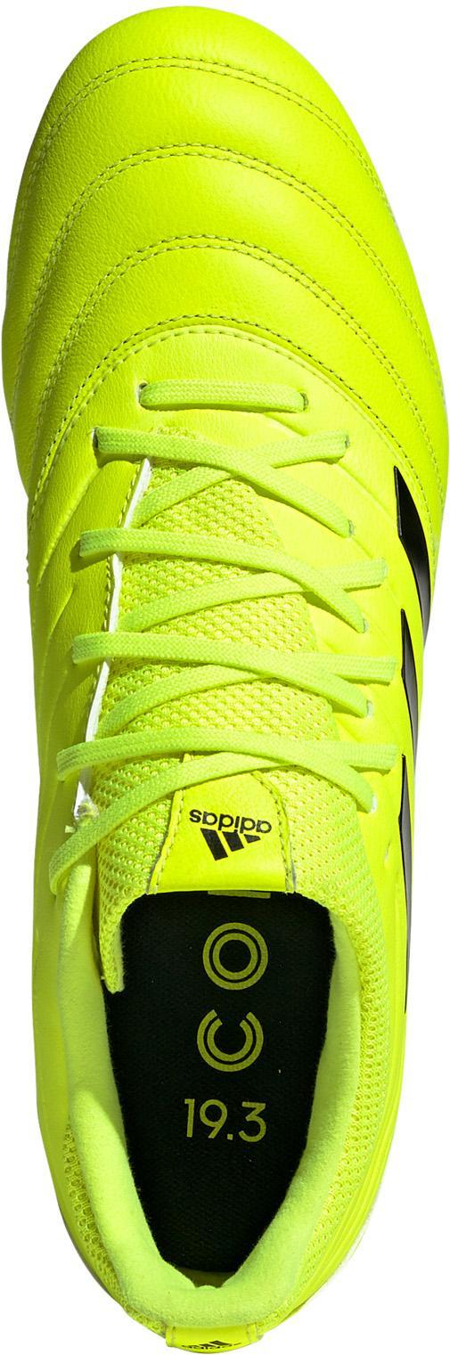 copa 19.3 fg