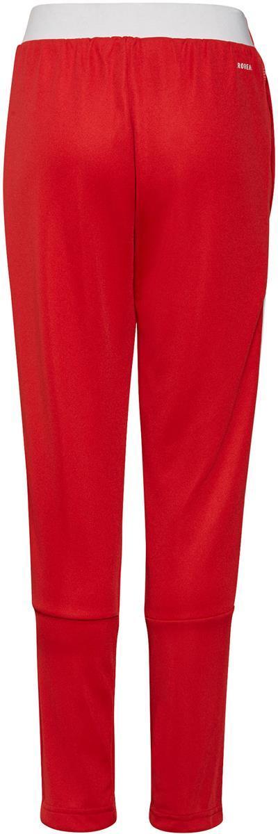 Ajax Tr Pant Y