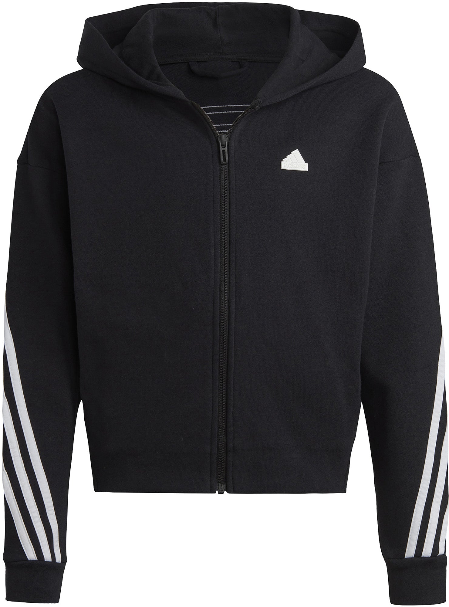 Future Icons 3-Stripes ritshoodie