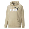 Ess+ 2 Col Big Logo Hoodie