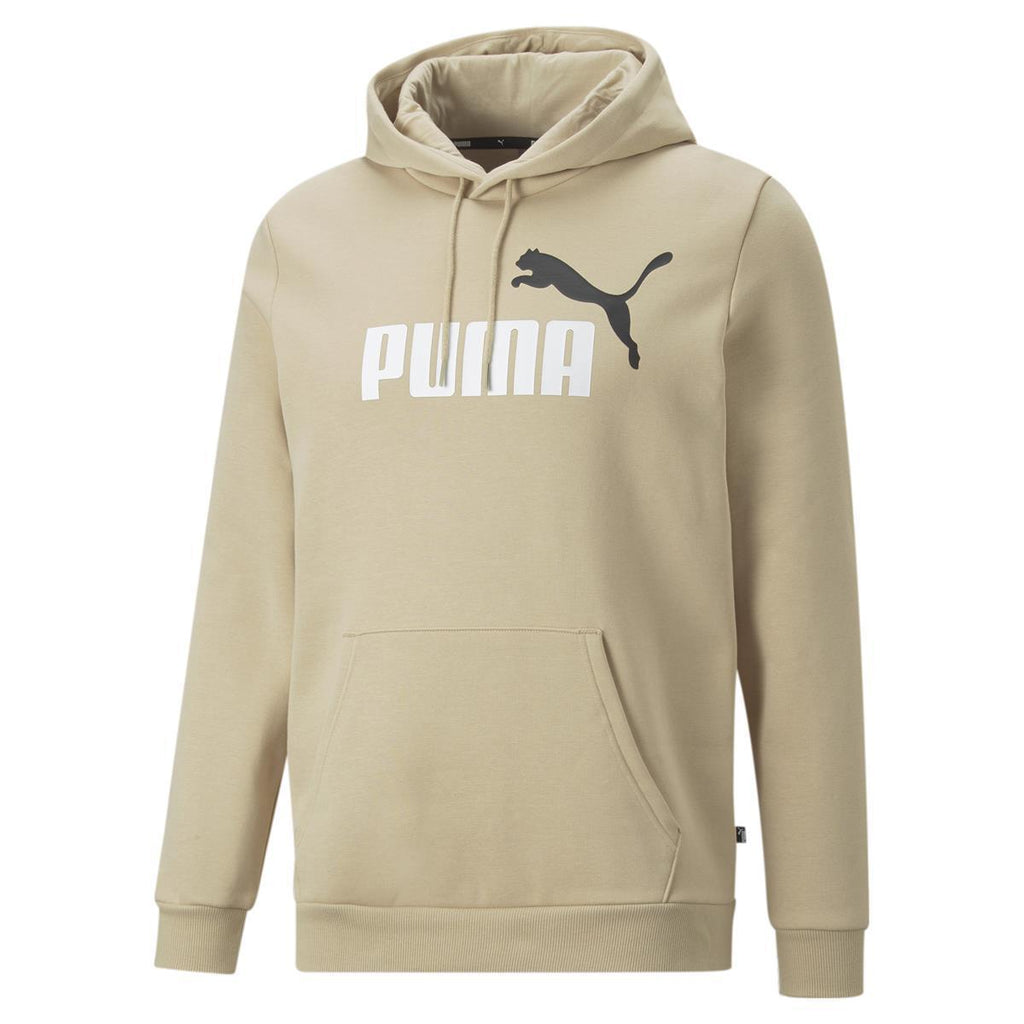 Ess+ 2 Col Big Logo Hoodie