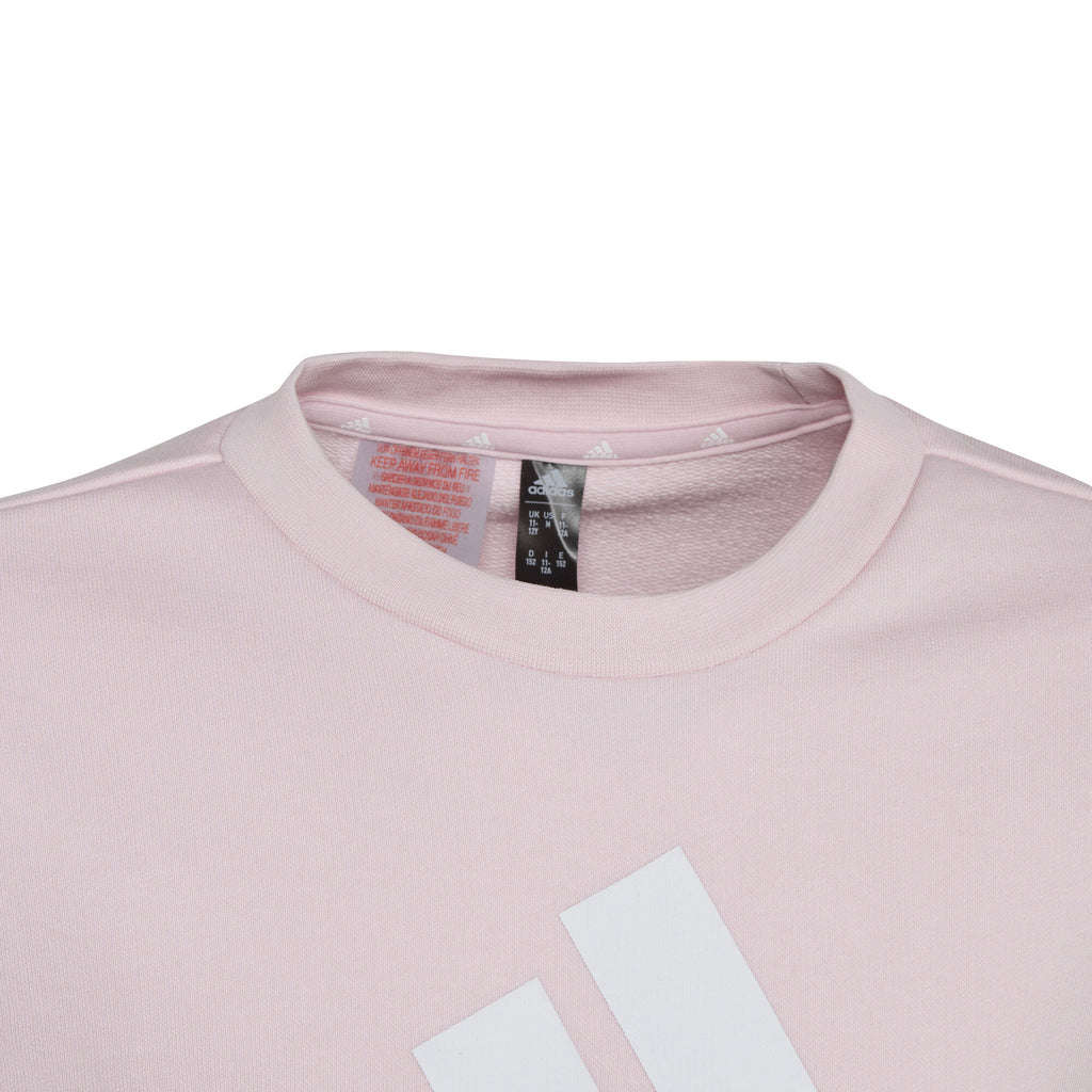 Essentials Big Logo Cotton sweater