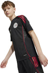 Ajax Amsterdam Tiro 25 Competition Training Kids jersey