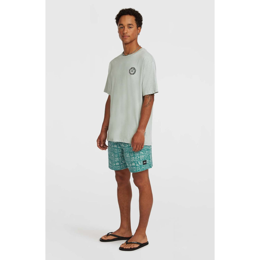 Print 16 Zwemshort