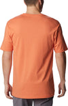Path Lake Graphic II shirt