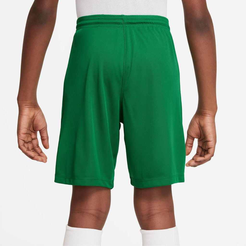 NIKE DRI-FIT PARK III BIG KIDS