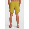 Vert 16 Zwemshort