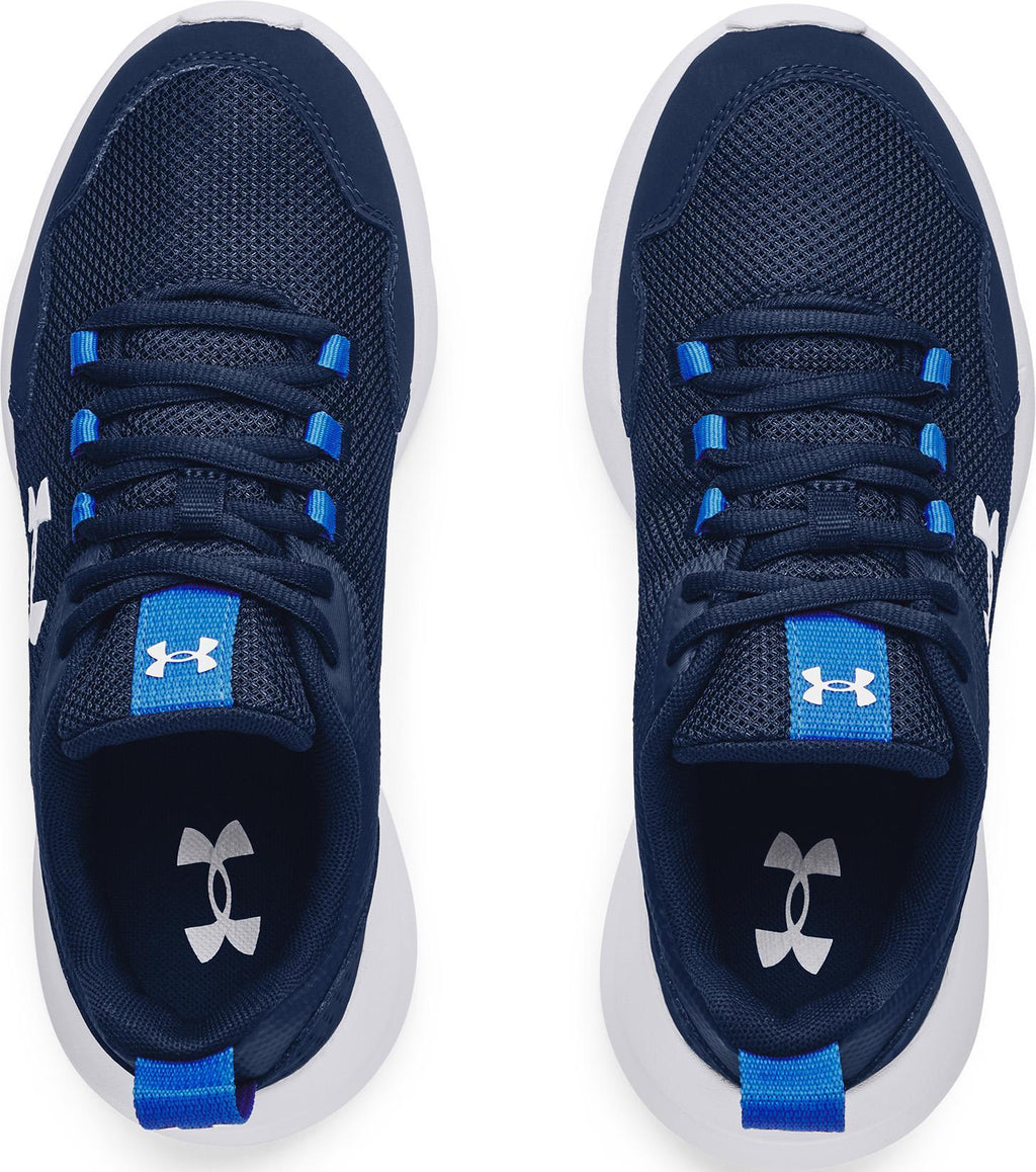 Ua Bgs Essential
