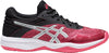 netburner ballistic ff