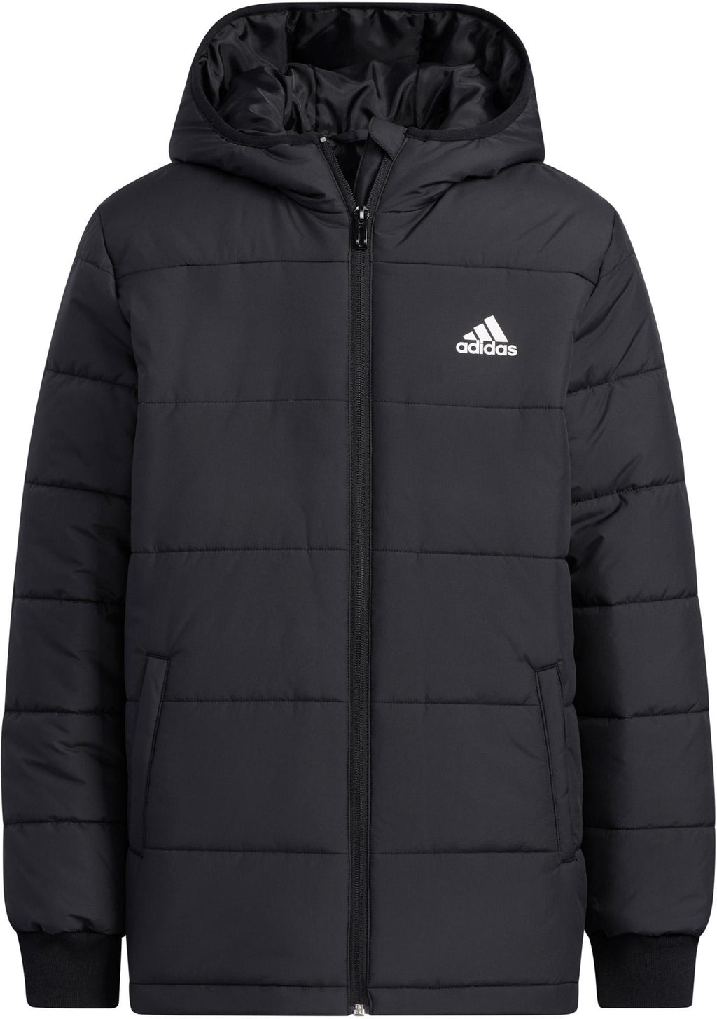Padded winterjas