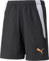 TEAMLIGA TRAINING SHORTS 2 JR, PUMA BLACK-OCEA, 152