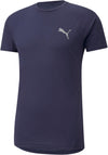 Evostripe Tee