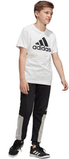 Yb Sid Pant