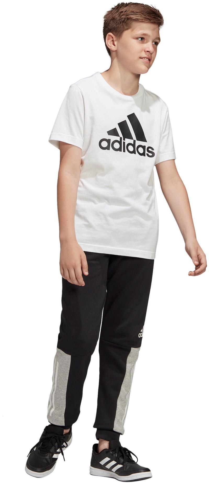 Yb Sid Pant