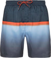 Erwin Beachshort