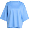 Soft Lux Loose T-shirt