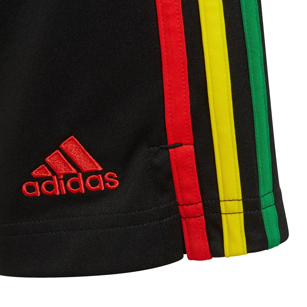 Ajax 3rd Sho Y