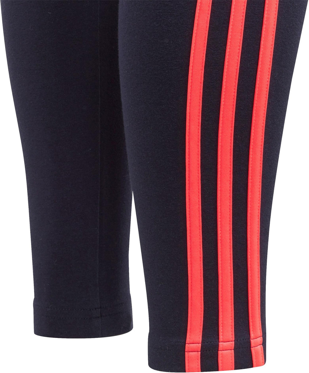 W E 3S TIGHT