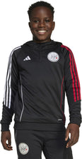 Ajax Amsterdam Tiro 24 Training Hoodie Kids
