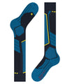 Sk 2 skisokken