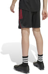 Ajax Amsterdam Tiro 25 Competition Training Short Kids