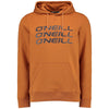Lm Triple Stack Hoodie