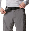 Silver Ridge Utility Cargo short