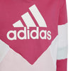 Colorblock Fleece kids hoodie