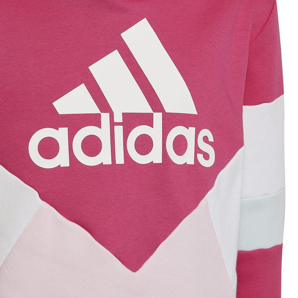Colorblock Fleece kids hoodie