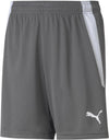 teamLIGA Shorts Short 100%PES