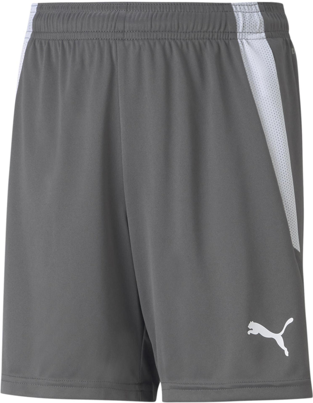 teamLIGA Shorts Short 100%PES