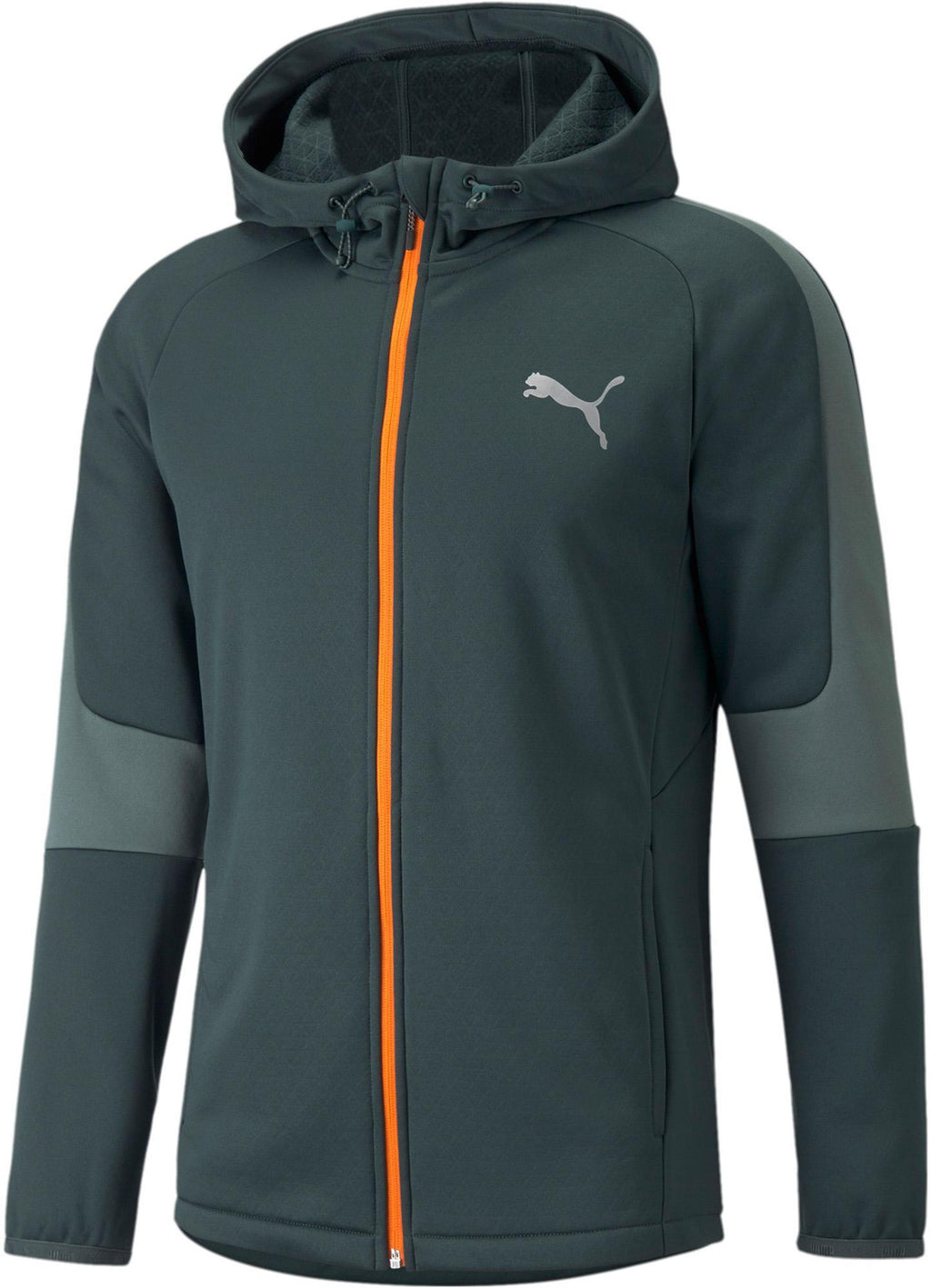 Evostripe Warm Fz Hoodie